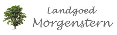 Logo Morgenstern